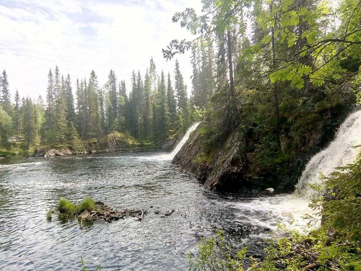 Metsorinne Kotila Luaran gambar
