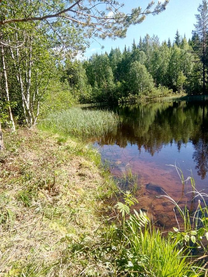 Metsorinne Kotila Luaran gambar